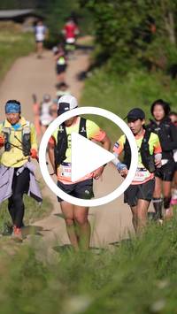 BIB:  <button type="button" onclick="openModal(26786866)" class="btn btn-primary btn-sm float-right" data-toggle="modal" data-target=".modal-high-quality">
                <i class="fa fa-download"></i> Download
                </button>